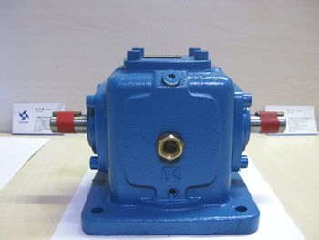 T4-1:1-1-LR背面照片