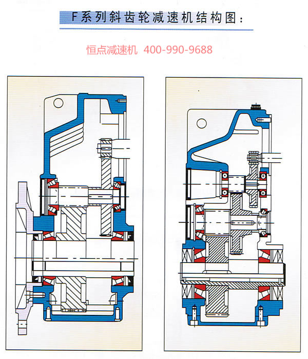 F系列平行軸斜齒輪減速機内部結構彩圖