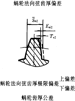 平面二次包絡環面蝸杆傳動精度蝸杆、蝸輪誤差的定義及代号